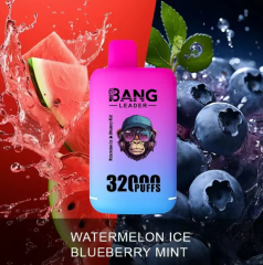 Bang leader 32000puffs 0-5% Nicotine Salt OEM/ODI Service Type-C Rechargeable Disposable Vapes E cigs Wholesale