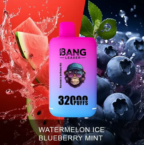 Bang leader 32000puffs 0-5% Nicotine Salt OEM/ODI Service Type-C Rechargeable Disposable Vapes E cigs Wholesale
