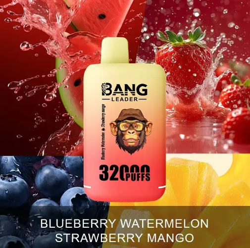 Bang leader 32000puffs 0-5% Nicotine Salt OEM/ODI Service Type-C Rechargeable Disposable Vapes E cigs Wholesale