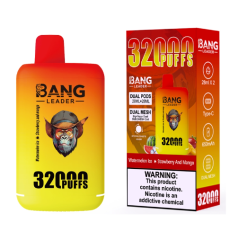 Bang leader 32000puffs 0-5% Nicotine Salt OEM/ODI Service Type-C Rechargeable Disposable Vapes E cigs Wholesale