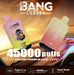 Bang leader 45k PUFFS 0-5% Nicotine Salt OEM/ODI Service Type-C Rechargeable Disposable Vapes E cigs Wholesale