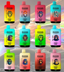 Bang leader 45k PUFFS 0-5% Nicotine Salt OEM/ODI Service Type-C Rechargeable Disposable Vapes E cigs Wholesale