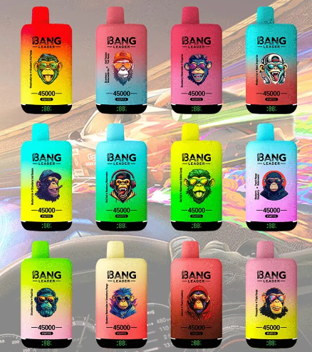 Bang leader 45k PUFFS 0-5% Nicotine Salt OEM/ODI Service Type-C Rechargeable Disposable Vapes E cigs Wholesale