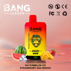 Bang leader 45k PUFFS 0-5% Nicotine Salt OEM/ODI Service Type-C Rechargeable Disposable Vapes E cigs Wholesale