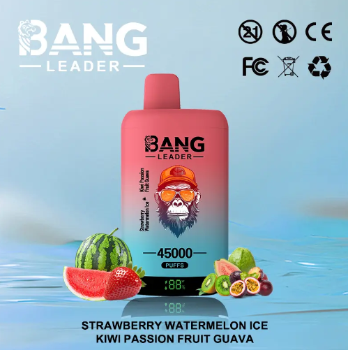 Bang leader 45k PUFFS 0-5% Nicotine Salt OEM/ODI Service Type-C Rechargeable Disposable Vapes E cigs Wholesale