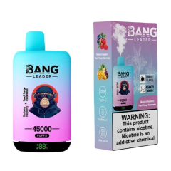 Bang leader 45k PUFFS 0-5% Nicotine Salt OEM/ODI Service Type-C Rechargeable Disposable Vapes E cigs Wholesale