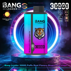 Bang leader 30000puffs 0-5% Nicotine Salt OEM/ODI Service Type-C Rechargeable Disposable Vapes E cigs Wholesale