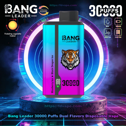 Bang leader 30000puffs 0-5% Nicotine Salt OEM/ODI Service Type-C Rechargeable Disposable Vapes E cigs Wholesale