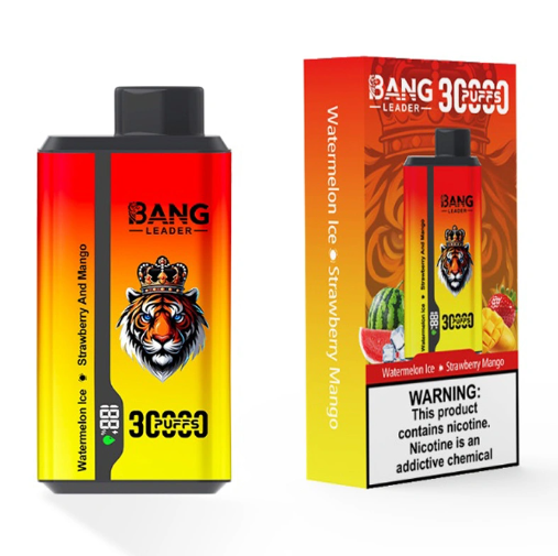 Bang leader 30000puffs 0-5% Nicotine Salt OEM/ODI Service Type-C Rechargeable Disposable Vapes E cigs Wholesale