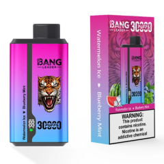 Bang leader 30000puffs 0-5% Nicotine Salt OEM/ODI Service Type-C Rechargeable Disposable Vapes E cigs Wholesale