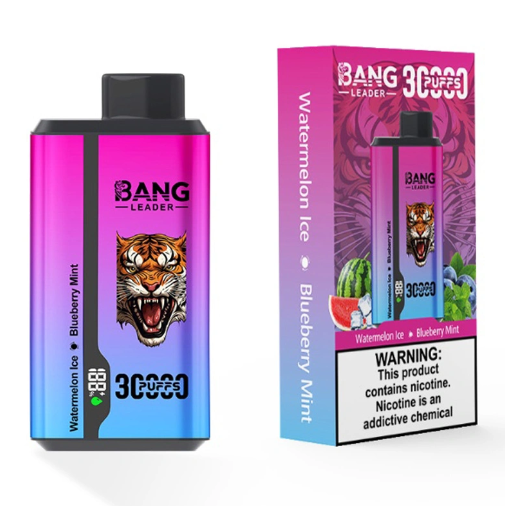 Bang leader 30000puffs 0-5% Nicotine Salt OEM/ODI Service Type-C Rechargeable Disposable Vapes E cigs Wholesale
