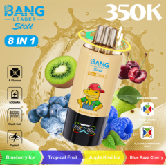 BANG Leader 350K (6 in 1) Puffs 2% 5% Nicotine Salt 0EM/ODl Service TYPE-C Rechargeable Disposable Vapes E cigs Wholesale