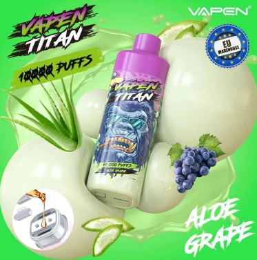 VAPEN TITAN 10000 PUFFS 2% 5% Nicotine Adjustable airflow Type-C Charge Port Refillable Oil Rechargeable Disposable Vapes E cigs Wholesale