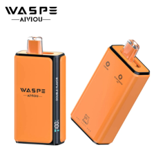 WASPE 2 in 1 100k PRO 2% 5% Nicotine Salt E-liquid LED Display TYPE-C Rechargeable Disposable Vapes E cigs Wholesale