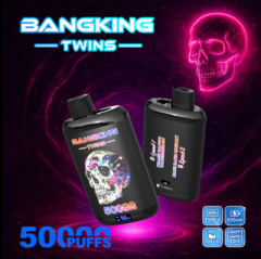 BANG twins 50k Puffs 0% 2% 3% 5% Nicotine Salt OEM/ODM Service Type-C Rechargeable Disposable Vapes E cigs Wholesale