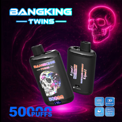 BANG twins 50k Puffs 0% 2% 3% 5% Nicotine Salt OEM/ODM Service Type-C Rechargeable Disposable Vapes E cigs Wholesale