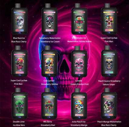 BANG twins 50k Puffs 0% 2% 3% 5% Nicotine Salt OEM/ODM Service Type-C Rechargeable Disposable Vapes E cigs Wholesale