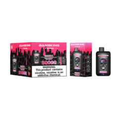 BANG twins 50k Puffs 0% 2% 3% 5% Nicotine Salt OEM/ODM Service Type-C Rechargeable Disposable Vapes E cigs Wholesale