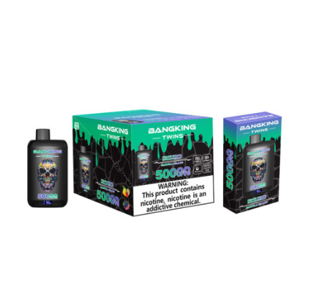 BANG twins 50k Puffs 0% 2% 3% 5% Nicotine Salt OEM/ODM Service Type-C Rechargeable Disposable Vapes E cigs Wholesale