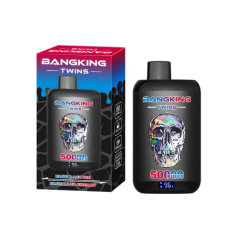 BANG twins 50k Puffs 0% 2% 3% 5% Nicotine Salt OEM/ODM Service Type-C Rechargeable Disposable Vapes E cigs Wholesale