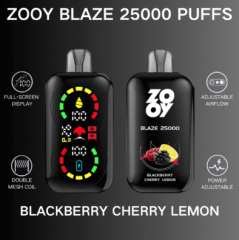 Zooy blaze 25k Puffs 2% 3% 5% Nicotine Salt Full-scream Display Double Mesh Coil Power Adjustable Airflow Child lock Rechargeable Disposable Vapes E cigs Wholesale