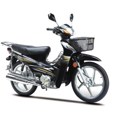 Affordable mobility gas scooter