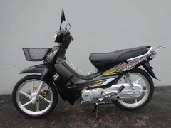 Affordable mobility gas scooter