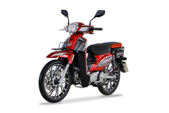 Scooter Cub 100cc, 125cc
