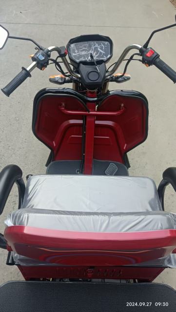 gas tricycle trimoto for dual passenger and cargo use