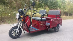 gas tricycle trimoto for dual passenger and cargo use