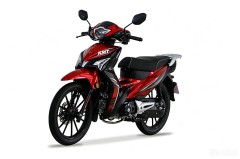 Moto Cub 110 cm3