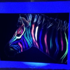 Sublimation ink (Neon color) for Epson SureColor T7000/7070/7080