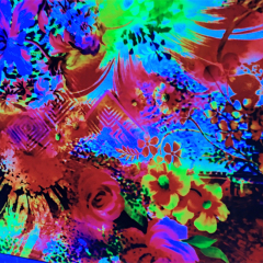 Neon Sublimation Ink For Custom Designing M,Y Colors For Epson DX4,DX5