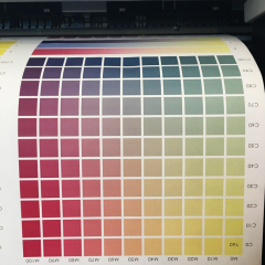 HD EVO Printing Ink For EPSON|MIMAKI|MUTOH Fit Print Head DX5/5113/4720