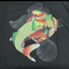 DTF PET Printable Film