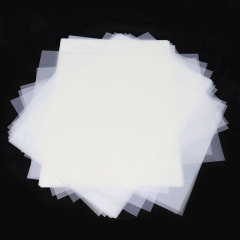 DTF PET Printable Film(Sheet Size)