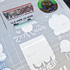 EVO DTF Film For Epson G6070 35"/90cm