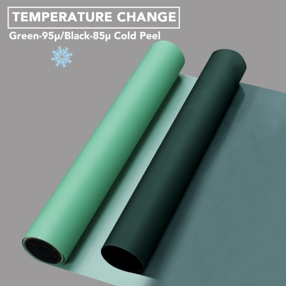 Temperature Change DTF Film