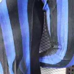 2025-2026 Inter Milan player edition home long sleeved football jersey