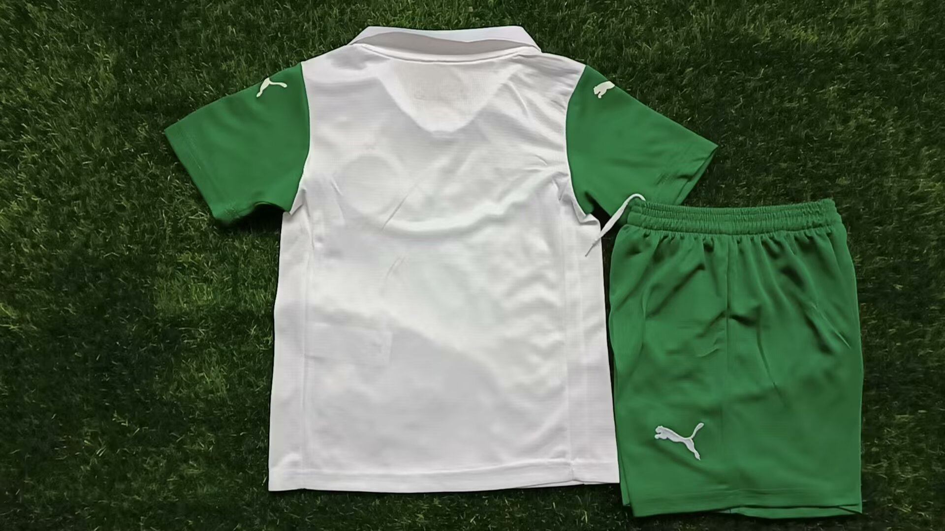 2025-2026 Palmeiras edition football jersey