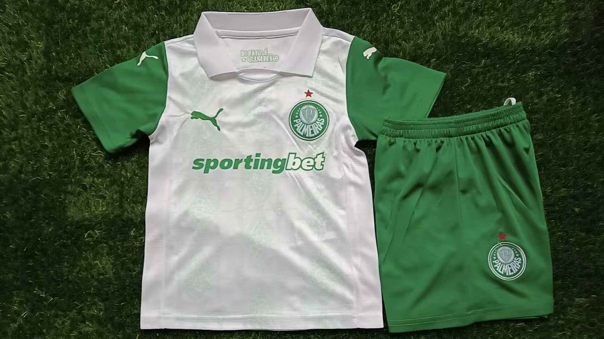 2025-2026 Palmeiras edition football jersey