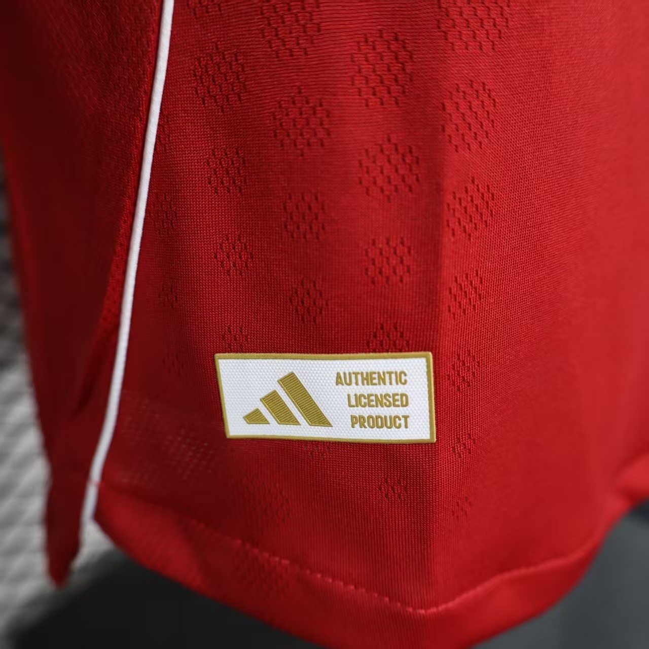 2025-2026 Liverpool player edition home football jersey (long sleeved)