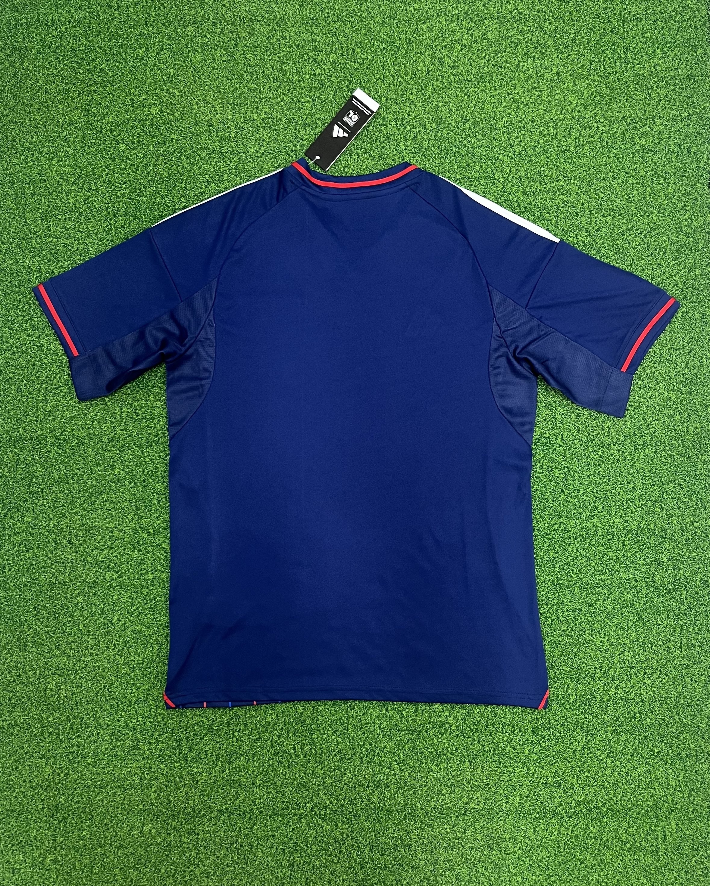 2025-2026 Lyon fans version away football kit