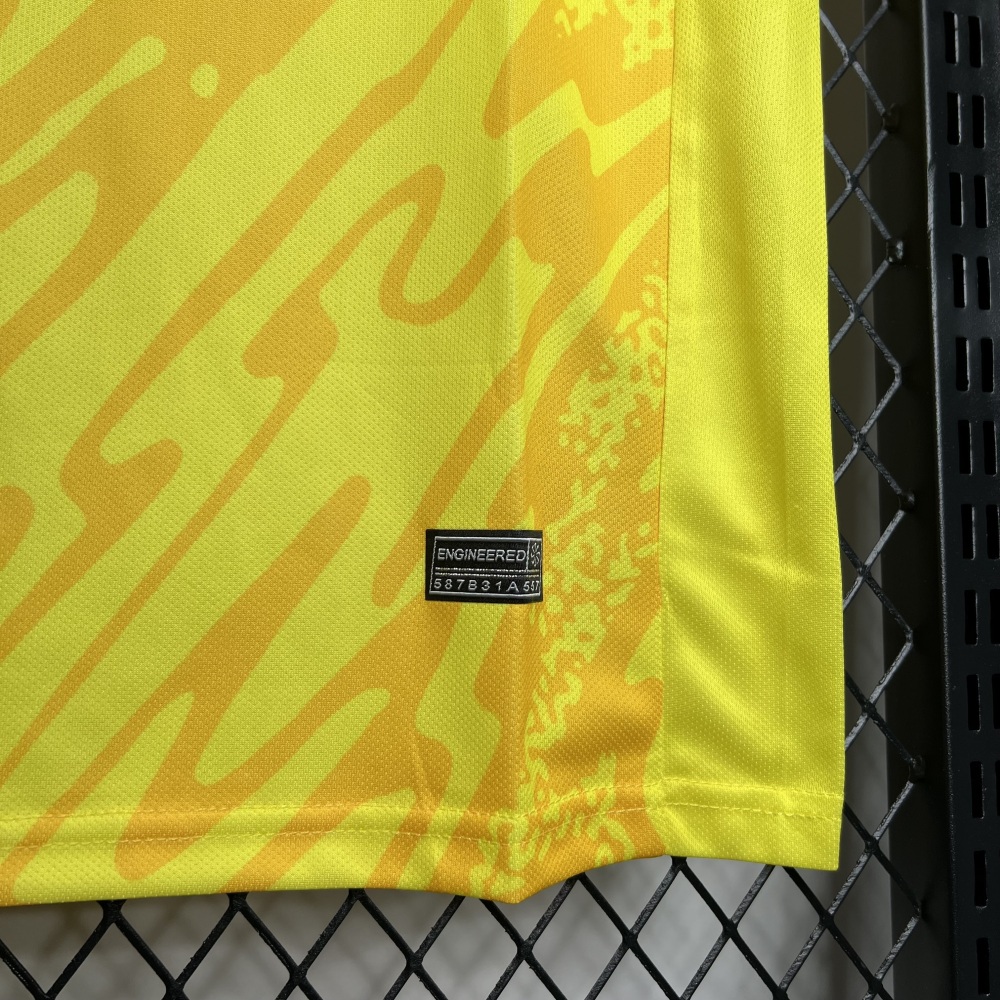 France 2024/25 Euro Goalkeeper uniform Jersey