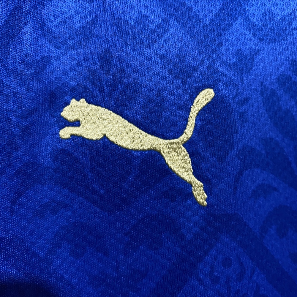 20/21 Italy home