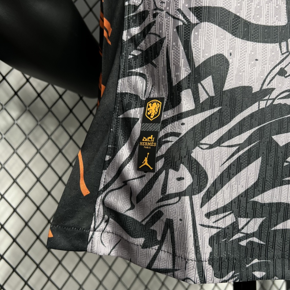 Netherlands 2024/25 Euro Jordan Version Jersey Player Version