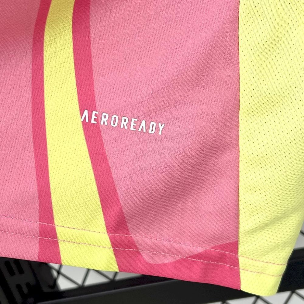 Scotland 2025/26 Away Jersey