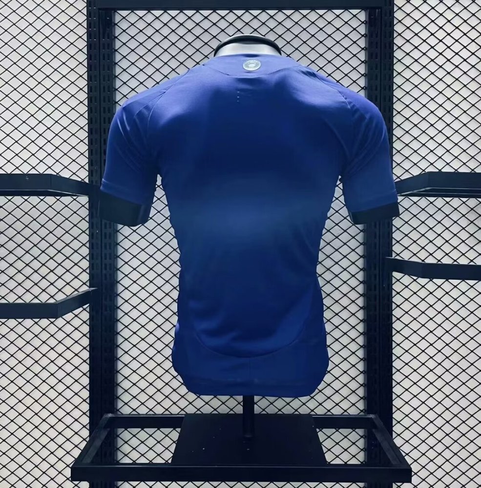 Argentina 2024/25 Away Jersey Player Version