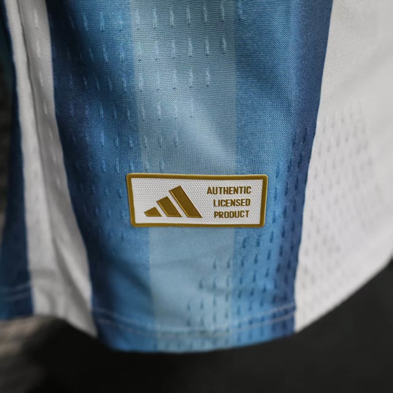 Mens Argentina 2026 World Cup Home Long Sleeve Jersey Player Version