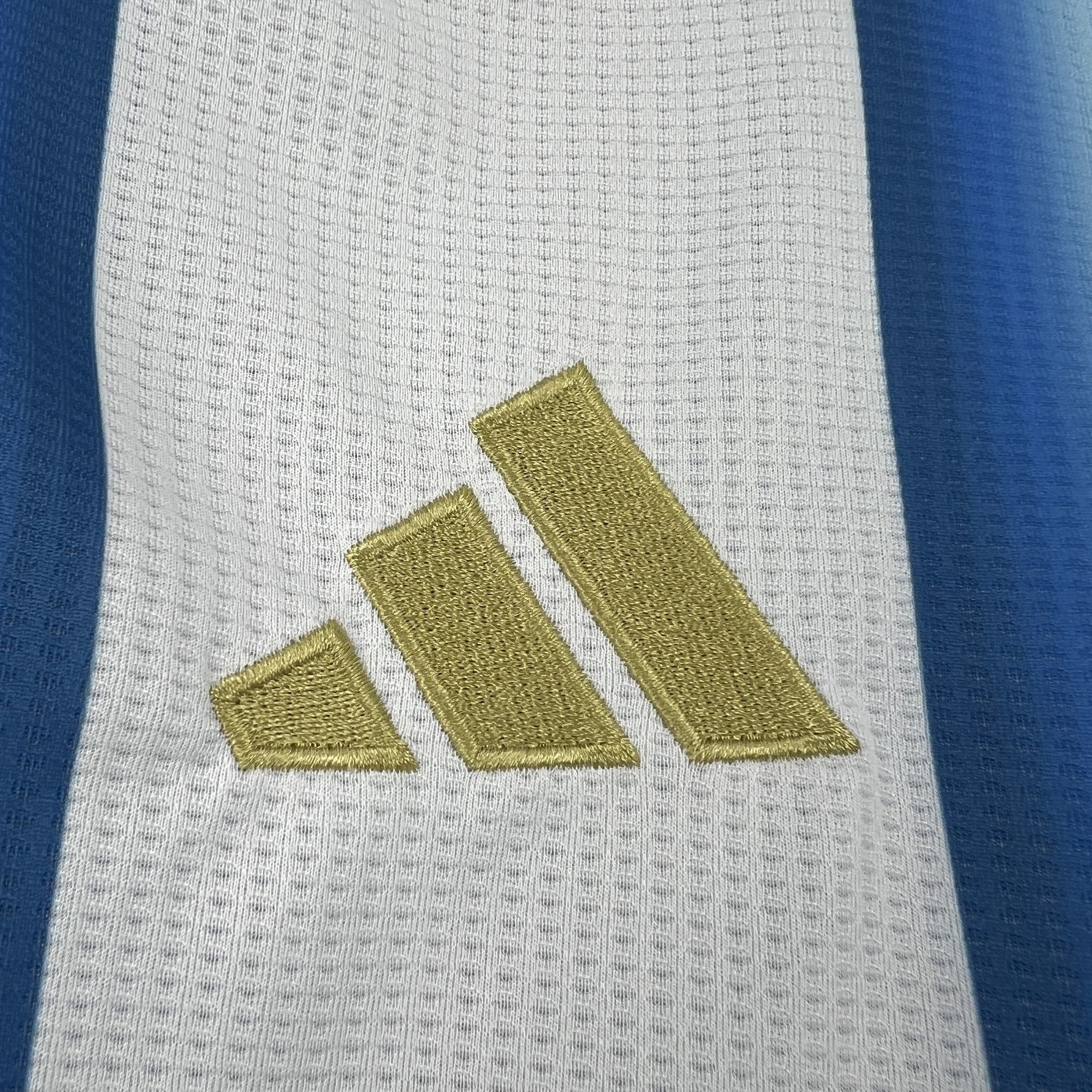 Mens Argentina 2025/26 Home Jersey